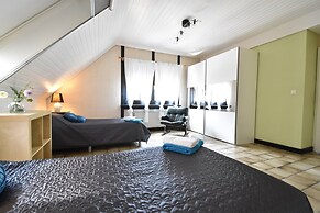 Spacious Mansion With Meadow View in Bruinisse