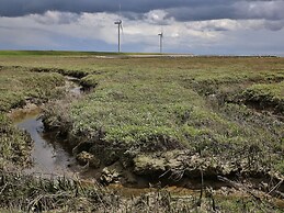 Nice Chalet with Fireplace near Oosterschelde