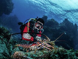 Beautiful Chalet With a Modern Design