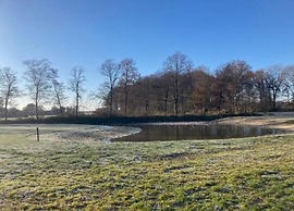 Bright & Airy Forest Cabin