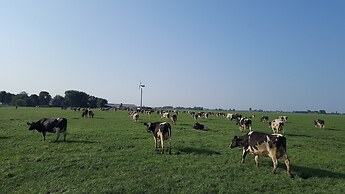 Idyllic Rural Home With Bikes