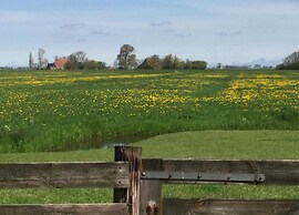 Idyllic Rural Home With Bikes