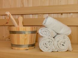 Apartment With Sauna in the Dunes