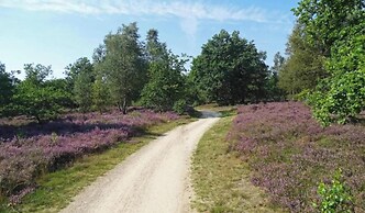 Modern Chalet With a Smart TV Near Forest