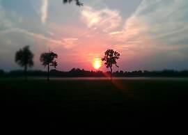 Modern Chalet With a Smart TV Near Forest