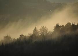 Ardennes Escape by Francorchamps