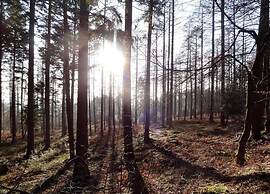 Ardennes Escape by Francorchamps