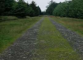 Ardennes Escape by Francorchamps