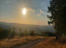 Ardennes Escape by Francorchamps