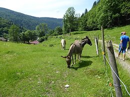 Apartment in Brandenberg With Terrace