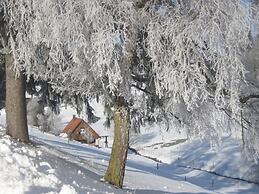 Cottage in Black Forest Near ski Slopes