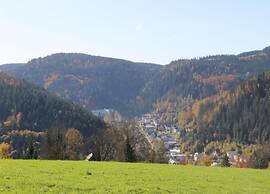 Cottage in Black Forest Near ski Slopes