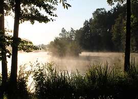 Cottage in Black Forest Near ski Slopes