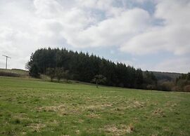 Apartment With 2 Rooms in Lirstal