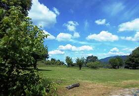 Holiday Home in San Godenzo With Garden