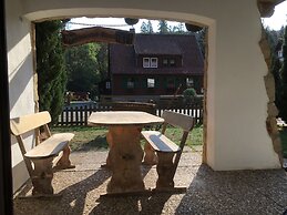 Apartment in Beautiful Harz Region With Terrace