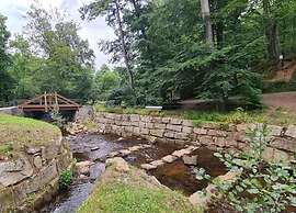 Classic Holiday Home in Harz near Braunlage Ski Area