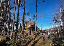 Classic Holiday Home in Harz near Braunlage Ski Area