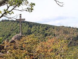 Classic Holiday Home in Harz near Braunlage Ski Area