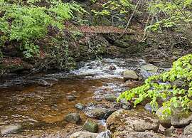 Classic Holiday Home in Harz near Braunlage Ski Area