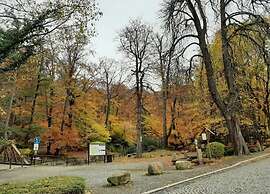 Classic Holiday Home in Harz near Braunlage Ski Area