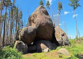 Classic Holiday Home in Harz near Braunlage Ski Area