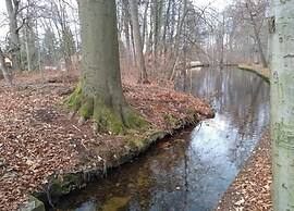 Classic Holiday Home in Harz near Braunlage Ski Area