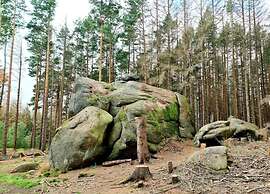 Classic Holiday Home in Harz near Braunlage Ski Area