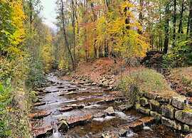 Classic Holiday Home in Harz near Braunlage Ski Area