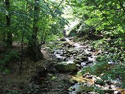 Classic Holiday Home in Harz near Braunlage Ski Area