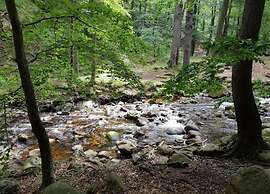 Classic Holiday Home in Harz near Braunlage Ski Area