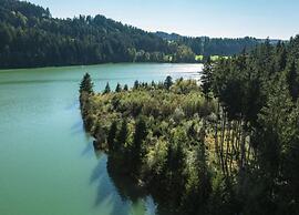 Apartment With View of the Bavarian Alps