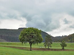A Large Family House