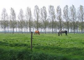 Farmhouse Home in Eede