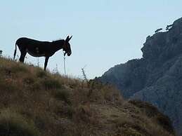 Beautiful Spacious Villa Near Makry Gialos