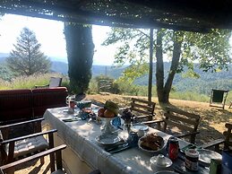 Detached Cottage With Swimming Pool