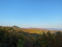 Detached Cottage With Swimming Pool