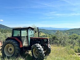 Detached Cottage With Swimming Pool