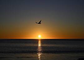 Peaceful Holiday Home