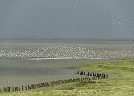 Peaceful Holiday Home