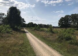 Markelo Lodge Near Trails