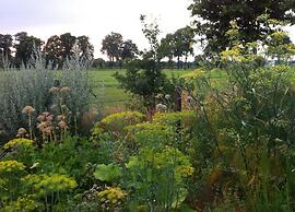 Markelo Lodge Near Trails