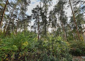 Markelo Lodge Near Trails