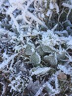 Quaint Chalet in Petithan With Roofed Pool