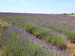 Belvilla by OYO Chic Farmhouse With Terrace