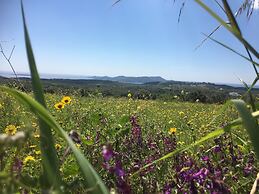 Elegant Villa in Evangelismos with Pool & Garden near Sea Beach