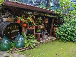 Villa With Sauna in Sorrento