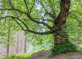 Ferienwohnung mit Garten auf dem Bauernhof