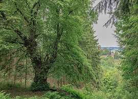 Ferienwohnung mit Garten auf dem Bauernhof