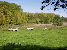 Farmhouse in Sint Joost With Pool & BBQ